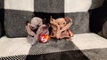 Batty Beanie Baby Bat Brown and Tie-dye, Gift for Bat Lovers, Gift for Future Chiropterology Students, Gift for Christmas, Gift for Birthday