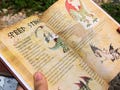 HTTYD • Dragon Book • How to Train Your Dragon Book • Dragon Training Book • Toothless.