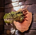 SAME DAY SHIPPING! Large Dungeons & Dragons Inspired Dragon Trophy Wall Mount  "The Thornhide" Realistic Dragon Head for Campaigns