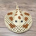 Wiggling Electric Ray - 3D Printed Mesh Toy