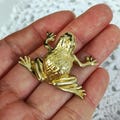 Get 2 Copper  Frog Statue,Wild animal Lucky Brass Home Desk Ornament Decor Miniature Feng shui Tea Pet Antique Meditation Serene Figurine