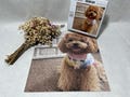 Custom pet photo puzzle, personalized wooden puzzle, custom puzzle, custom photo puzzle 35-1314 pieces, memorial gift for owner