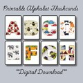 ABC Flashcards with Filled Letters | Printable Educational Learning Toys for Kids & Toddlers | Colorful Alphabet Cards for Early Learning