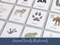 Animal Tracks Flashcards Montessori Matching Game, Nature Study Cards, Preschool Animals Footprint Learning Resource, Digital Download