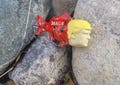 Make fishing great again. Trump lure.