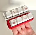 4 Key Desktop Mechanical Keyboard Fidget Toy Keychain - Stocking Stuffer Sensory ADHD Fidget Toy with Creamy Switches & Warawara  Keycaps