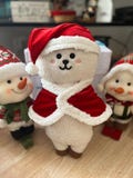 BT21 RJ Holiday Hat and Cloak