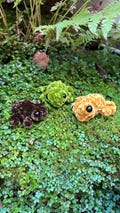 Handmade Frog Crochet Amigurumi Cute