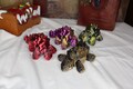 Ankylosaurs Dino