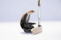 Bronze Novelty Golf Putters: The Cobra, The Eagle, and The Wolf