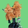Highland Cow Brown Driver & Fairway Covers | Unique Golf Gift for Animal Lovers.