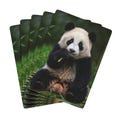Cute Panda Poker Playing Cards - Fun Casino Game, Unique Gift for Card Players & Panda Lovers, Collectible Deck for Family Game Night