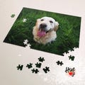Jigsaw Puzzle with Pet Portrait – Perfect Gift for Pet Owners, Available in 252, 500, or 1000 Pieces