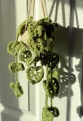 Crochet Hanging Potted Plant | Handmade Crochet Gift | Handmade Hanging Crochet Plant | Perfect for Plant Lovers