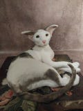 OOAK Realistic Oriental cat toy Artificial stuffed animal Cute kitten Soft sculpture pet Faux taxidermy Plush artdoll Interior home decor