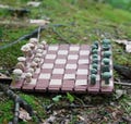 Forest Chess & Checkers – A Portable Woodland Delight