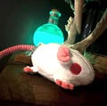 Lab Rat Dice Bag