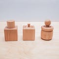 Montessori Palmar block, Pincer block and Peg in cup Set