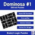 200 6x5 Dominosa Puzzles Volume #1 With Solutions Digital Download PDF Print And Play Brain Teasers For All Ages