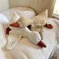 Personalized Stuffed Goose,Custom Linen Geese,Newborn Cuddly Toy,Lovely Newborn Gift,Sleep Body for Baby,Babyshower Gift,Sleep Companian Toy
