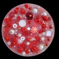 Chunky Red and White Picky Pad Silicone Picking Sensory Toy with Beads and Charms to Pick