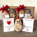 Pocket Hug Potato Gift Box | Christmas | Stocking Stuffer | For Her | Teens | Grief | Condolences | Pet Loss | Plush | Crochet